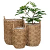Cache-pot en jonc de mer avec anses (lot de 3)