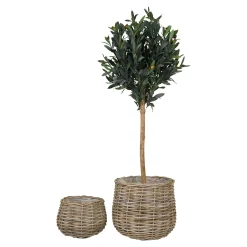 Cache-pot en rotin, forme boule (lot de 2)