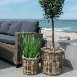 Cache-pot haut pour plantes ou graminées (lot de 2)