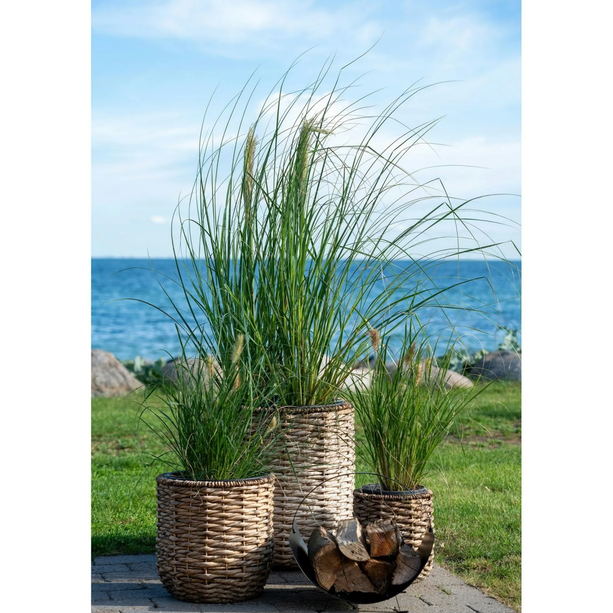 Cache-pot rond fibre naturelle tressée (lot de 3)