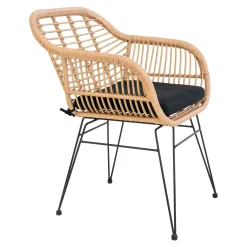 Chaise de jardin en rotin synthétique avec accoudoirs et coussin d'assise (lot de 2) IBIZA