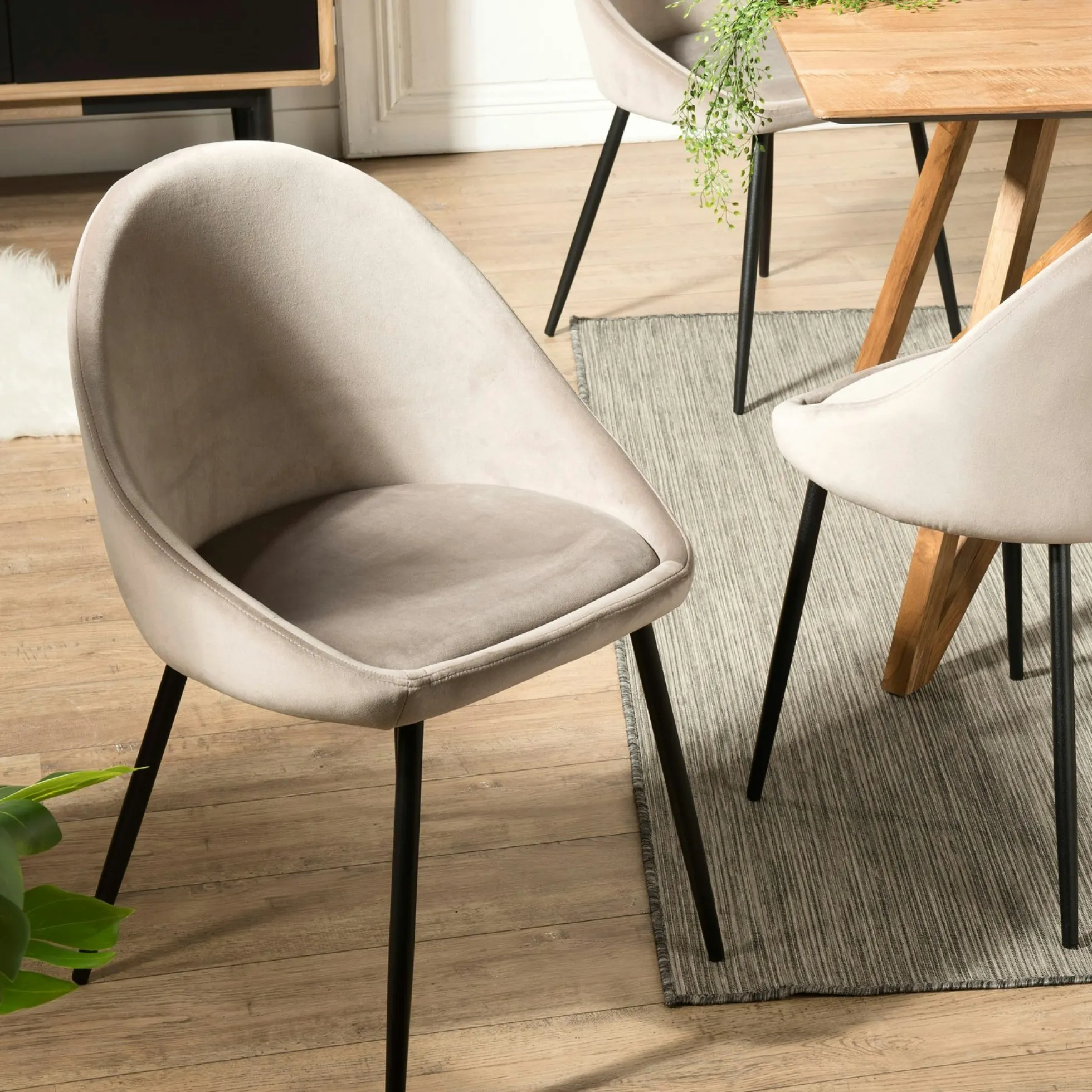 Chaise velours beige TIM (lot de 2)