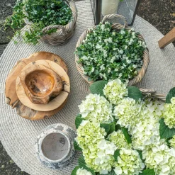 Coupe décorative bois forme organique ø40 cm ARIZONA