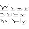 Décoration murale nature – oiseaux métal noir (lot de 11)