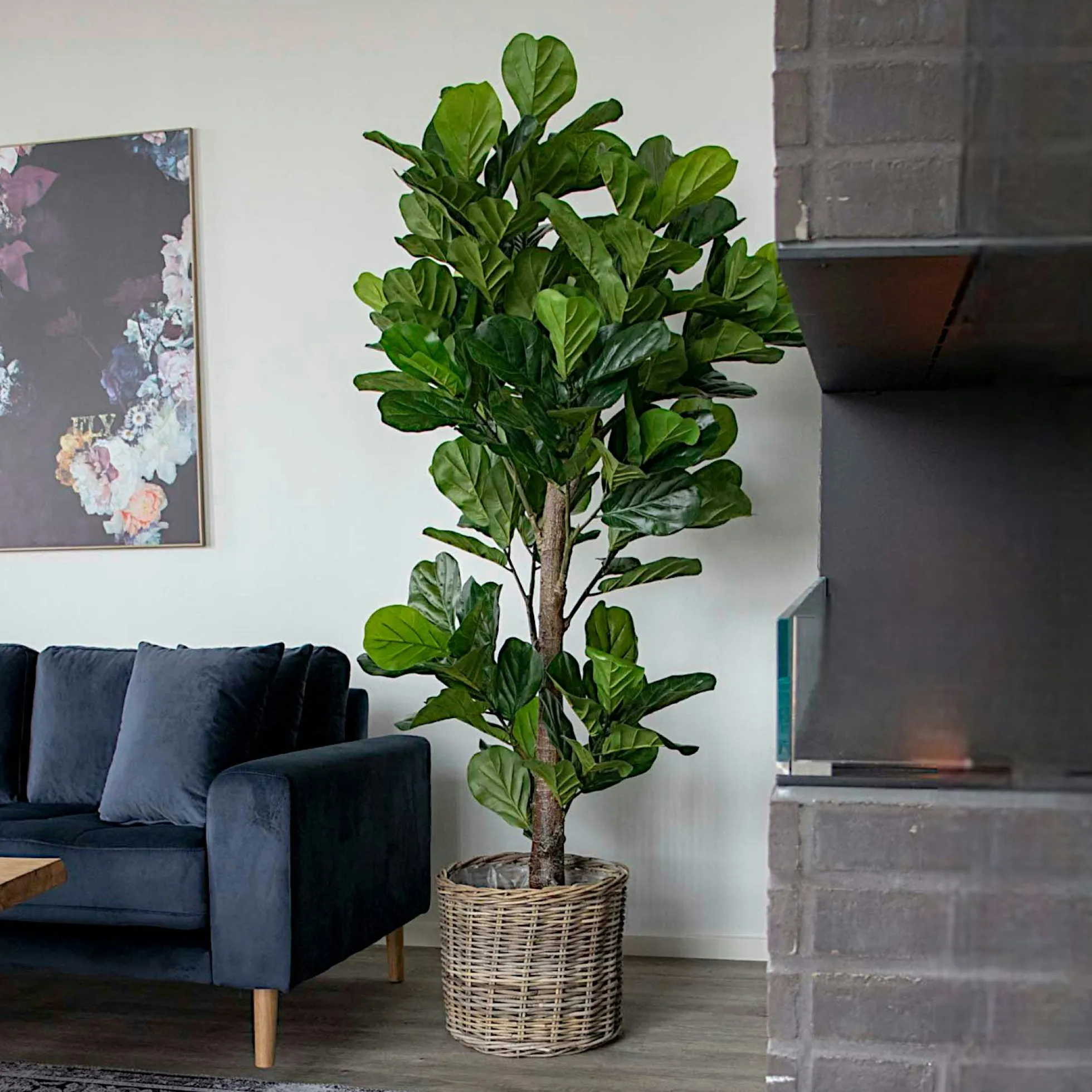 Ficus artificiel en pot H 190 cm