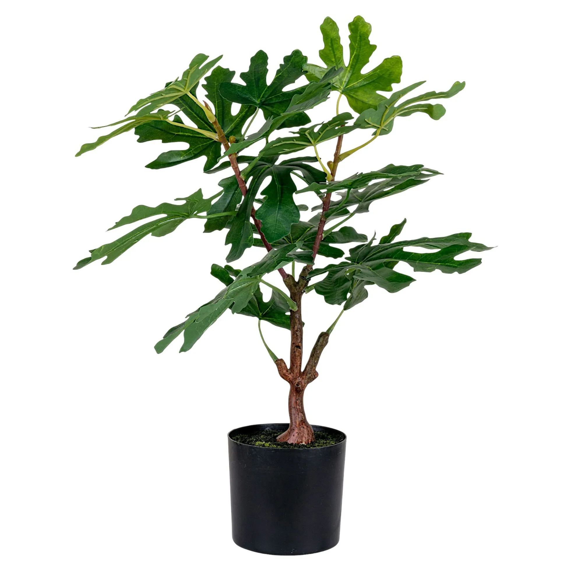 Figuier artificiel en pot