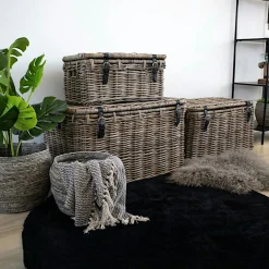 Malle de rangement en rotin avec attaches (lot de 3) MANY