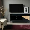 Meuble TV 1 porte bois noir et blanc ANINA