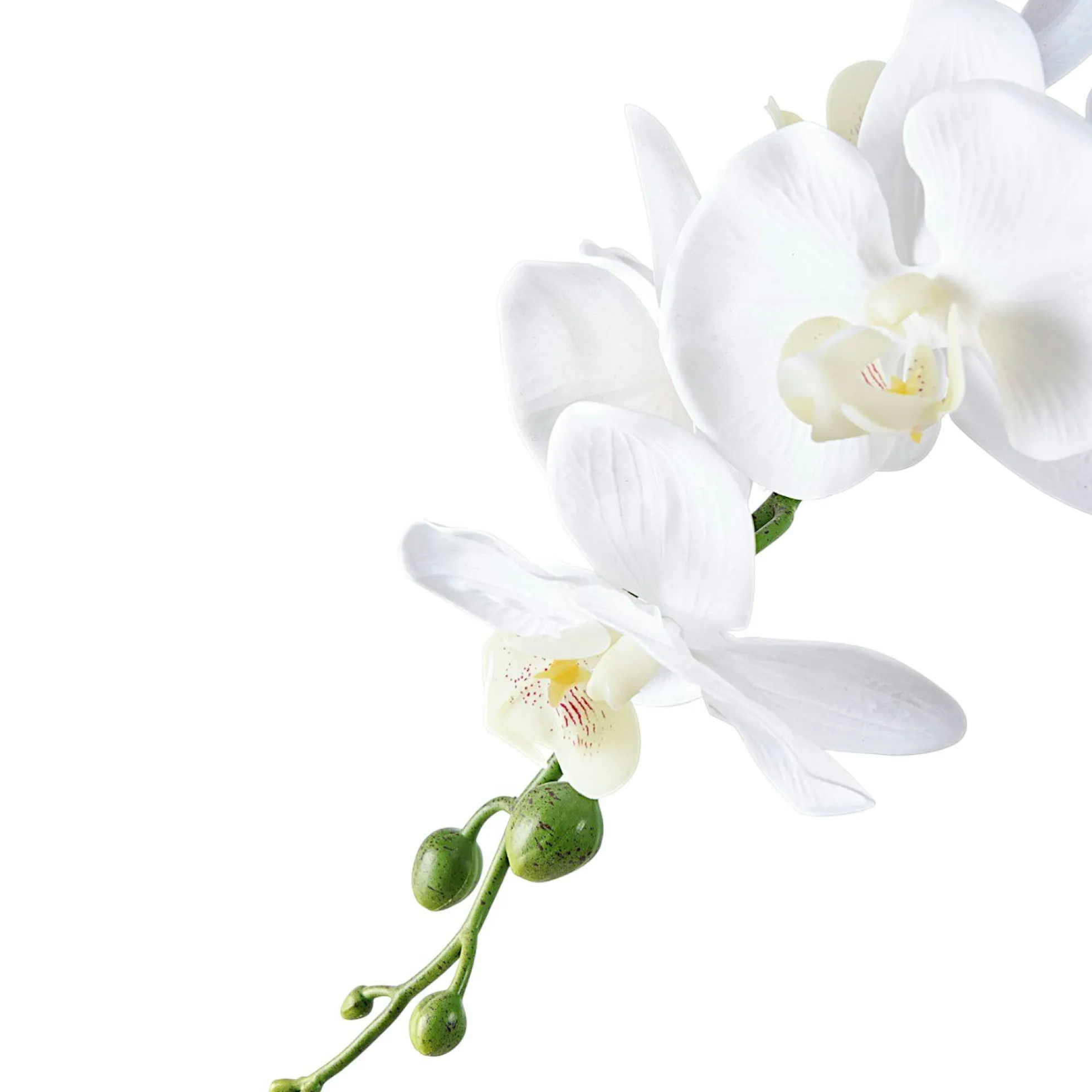 Orchidée artificielle blanche en pot
