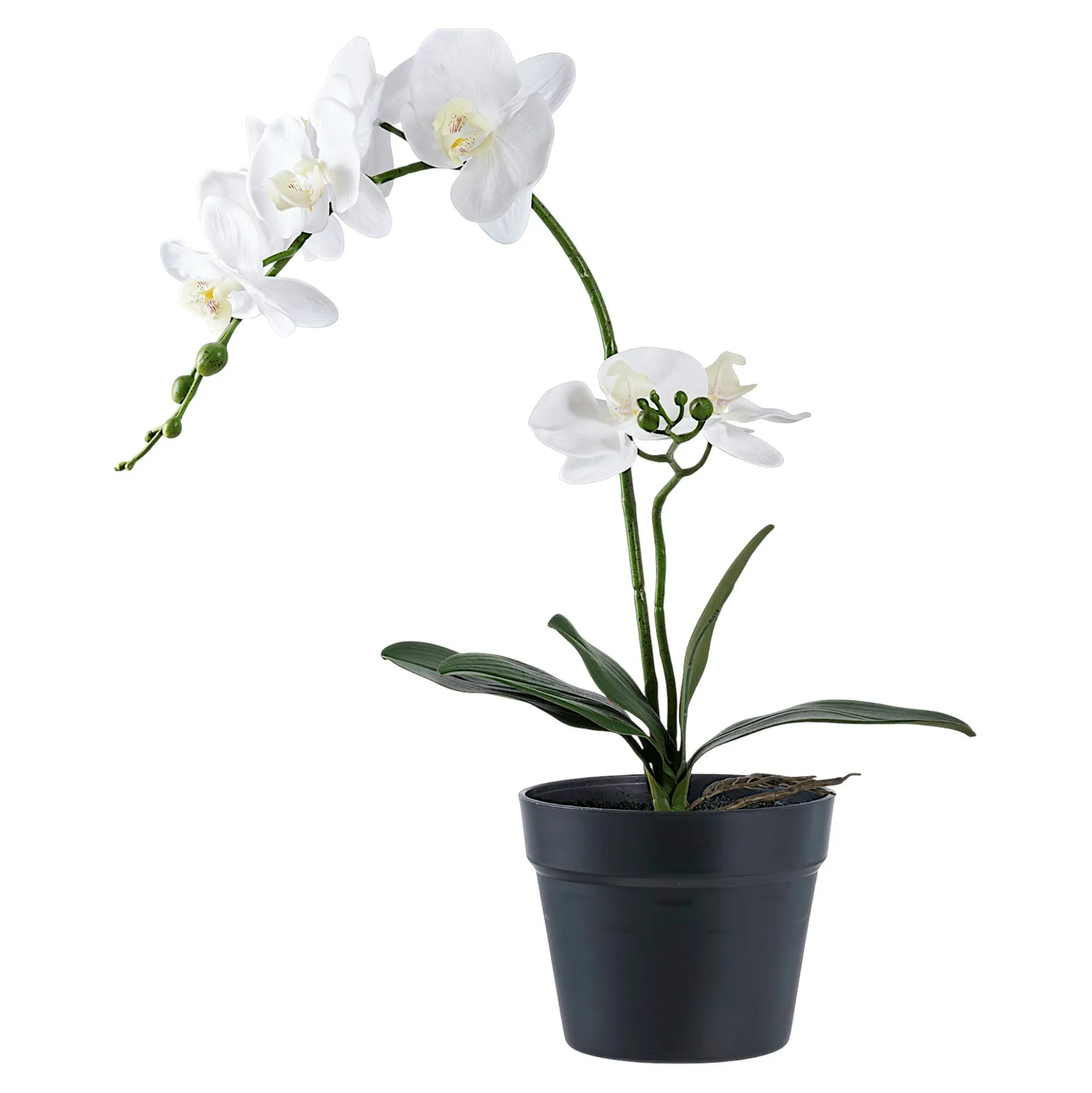 Orchidée artificielle blanche en pot