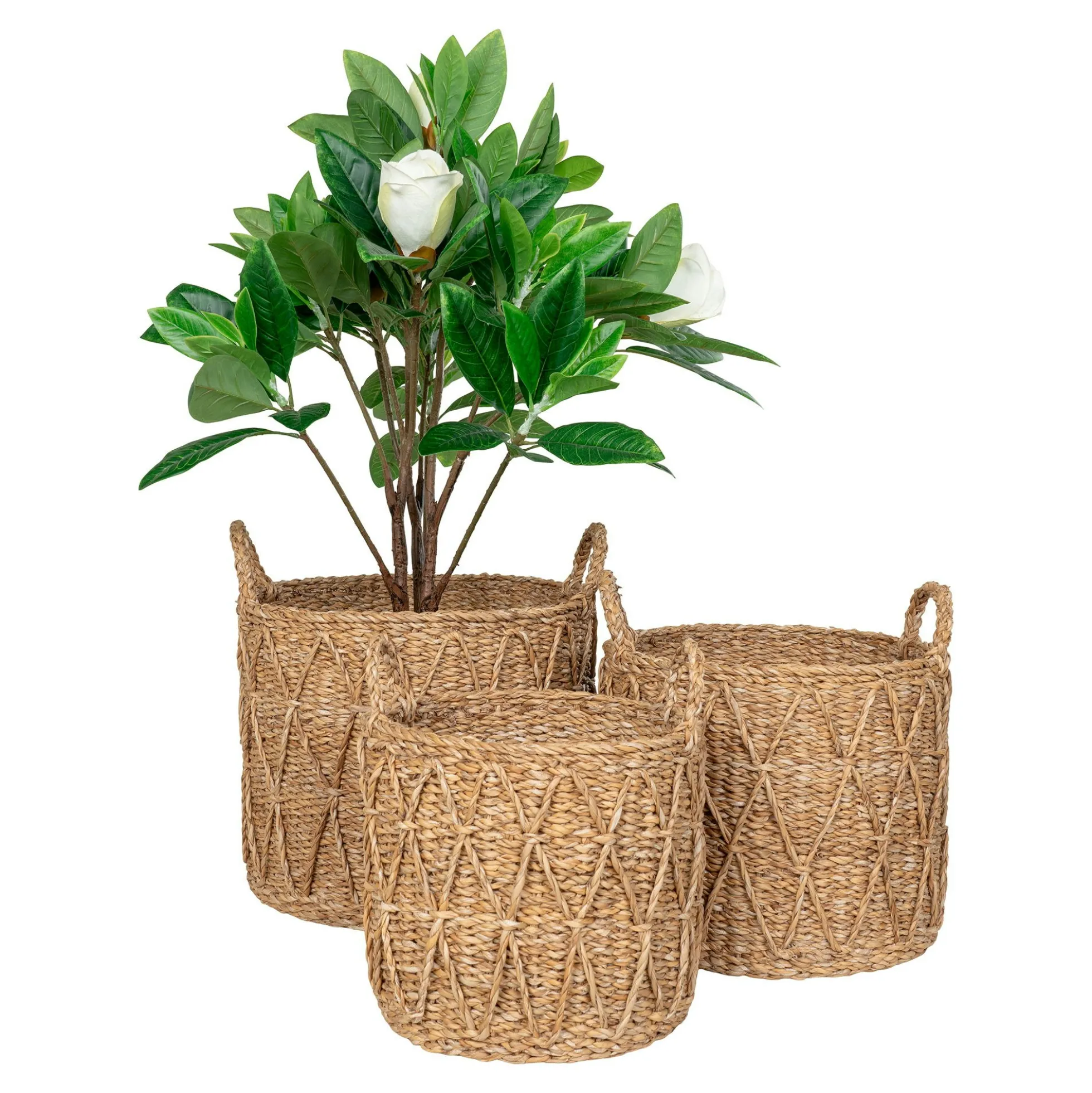 Panier cache-pot en jonc de mer avec motif losange (lot de 3)