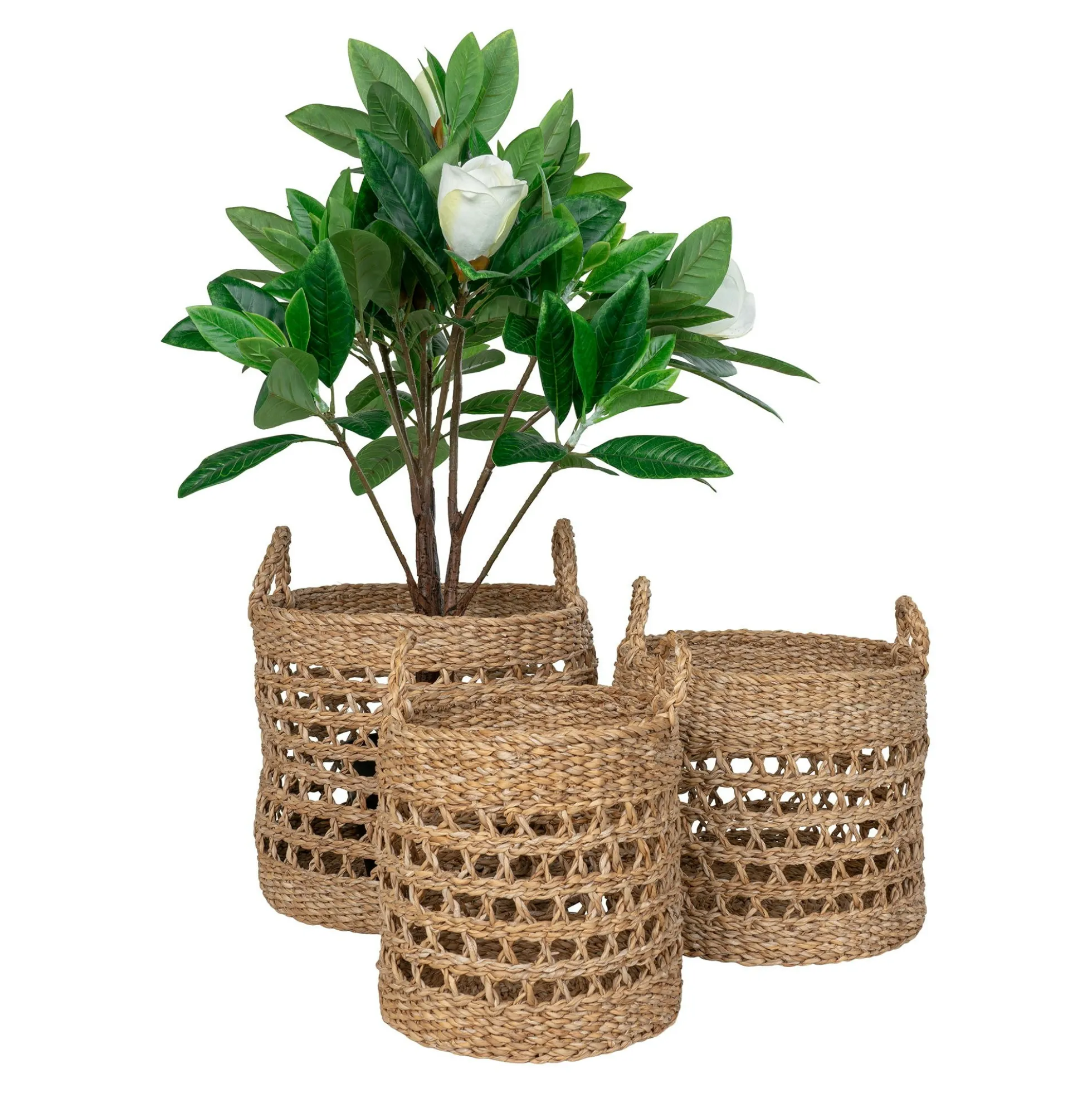 Panier cache-pot rond avec poignées, tressage ajouré (lot de 3)