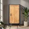 Petit meuble de rangement bois métal 1 porte MILORA