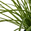 Plante artificielle graminée en pot H 45 cm