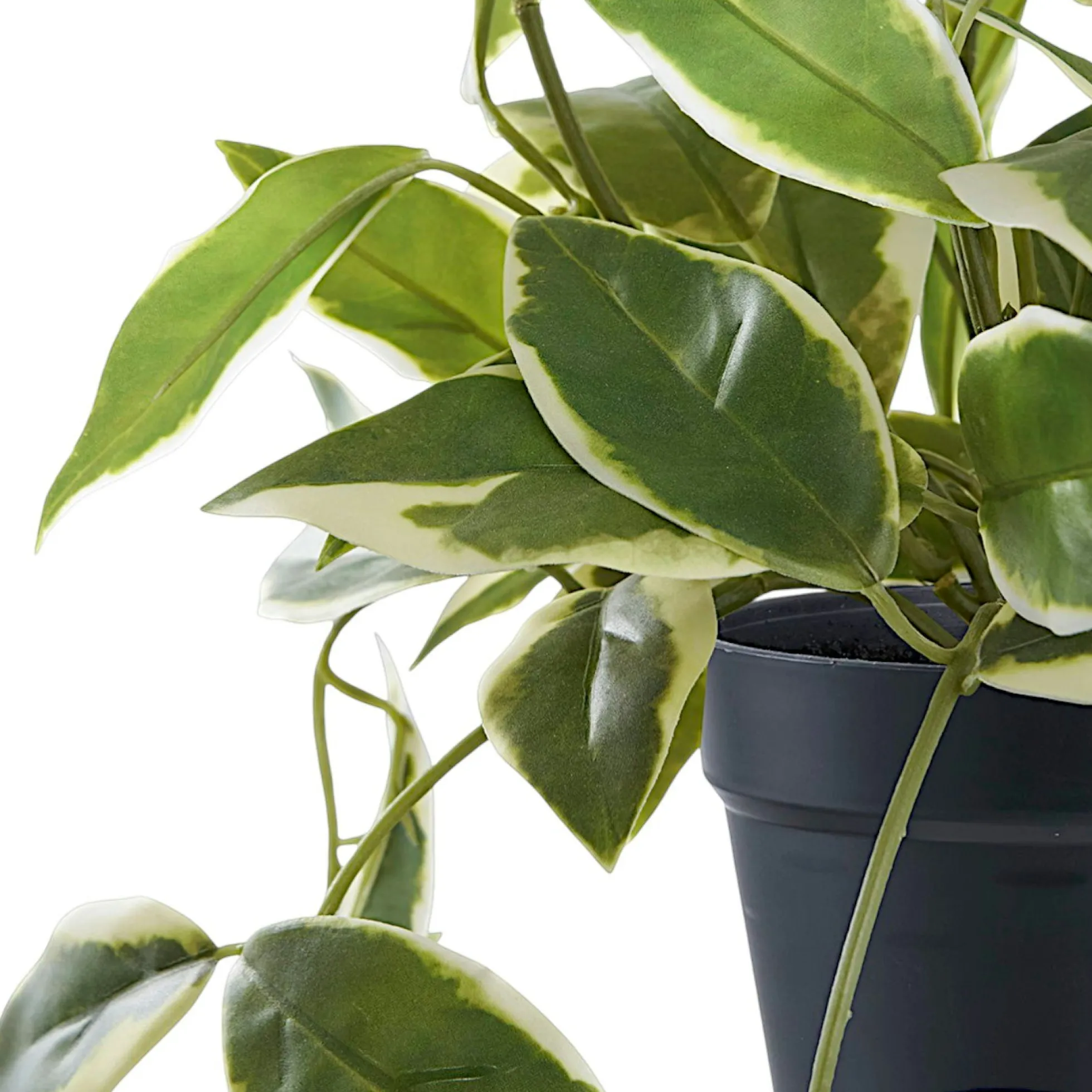 Plante artificielle hoya carnosa en pot