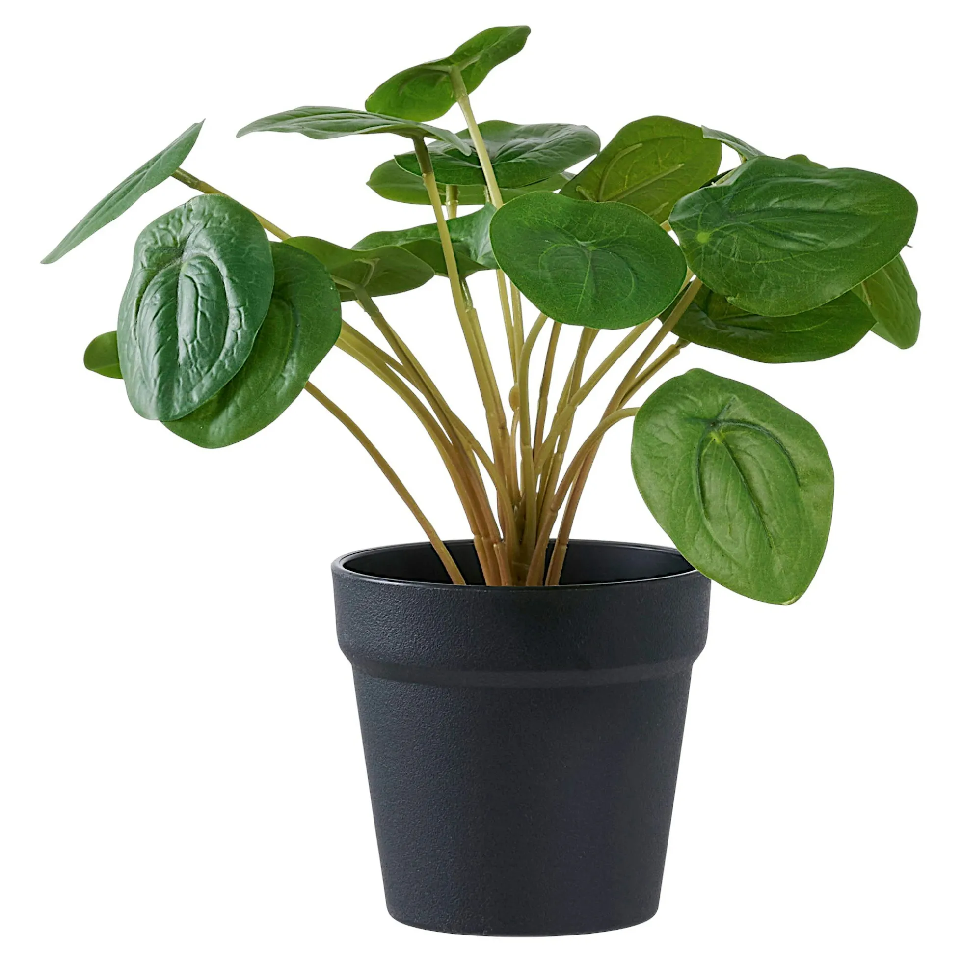 Plante artificielle pelia en pot