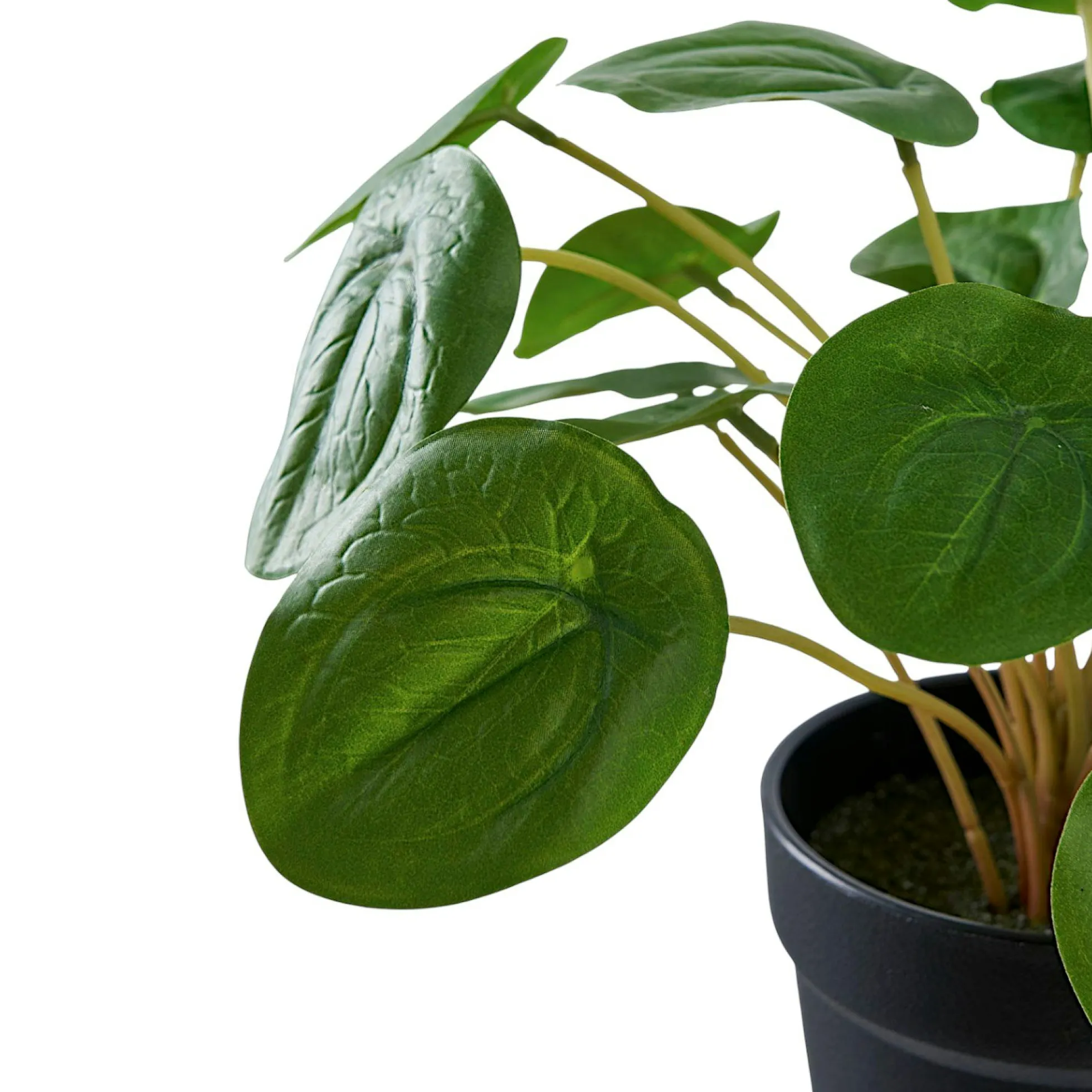 Plante artificielle pelia en pot