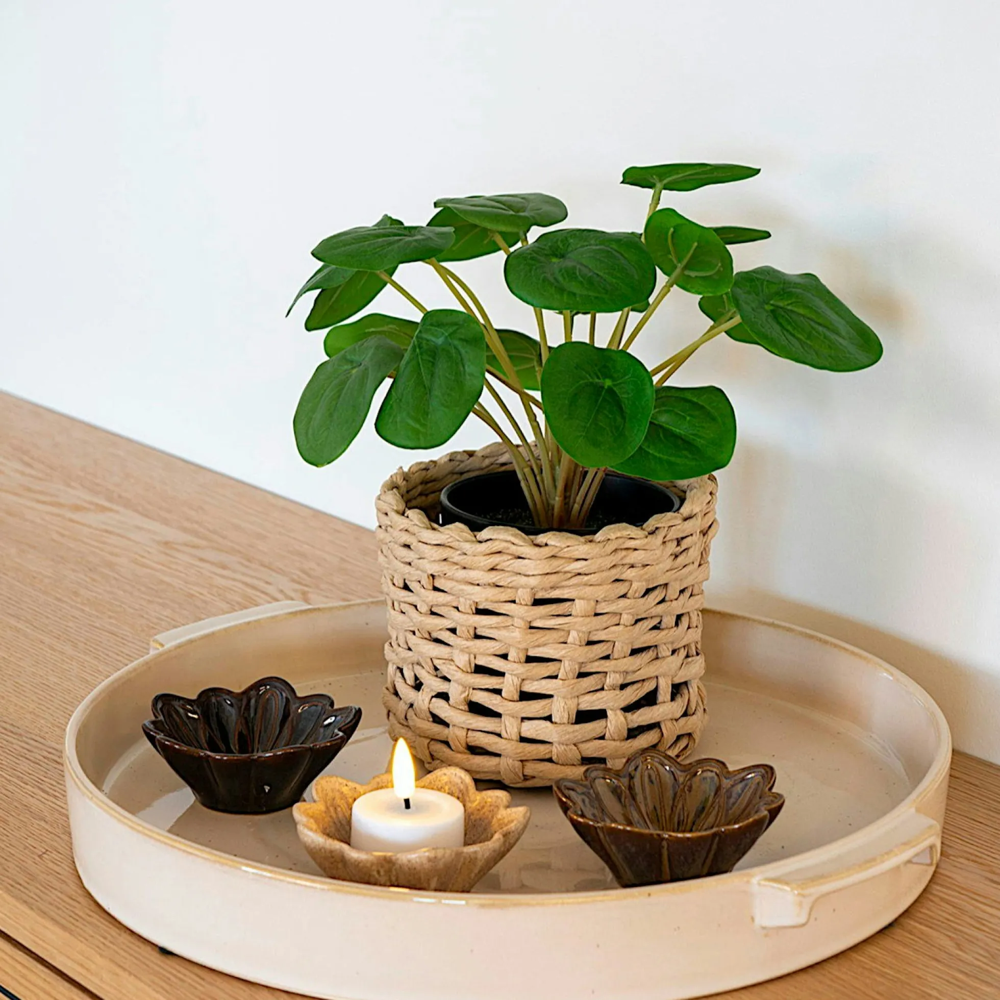 Plante artificielle pelia en pot