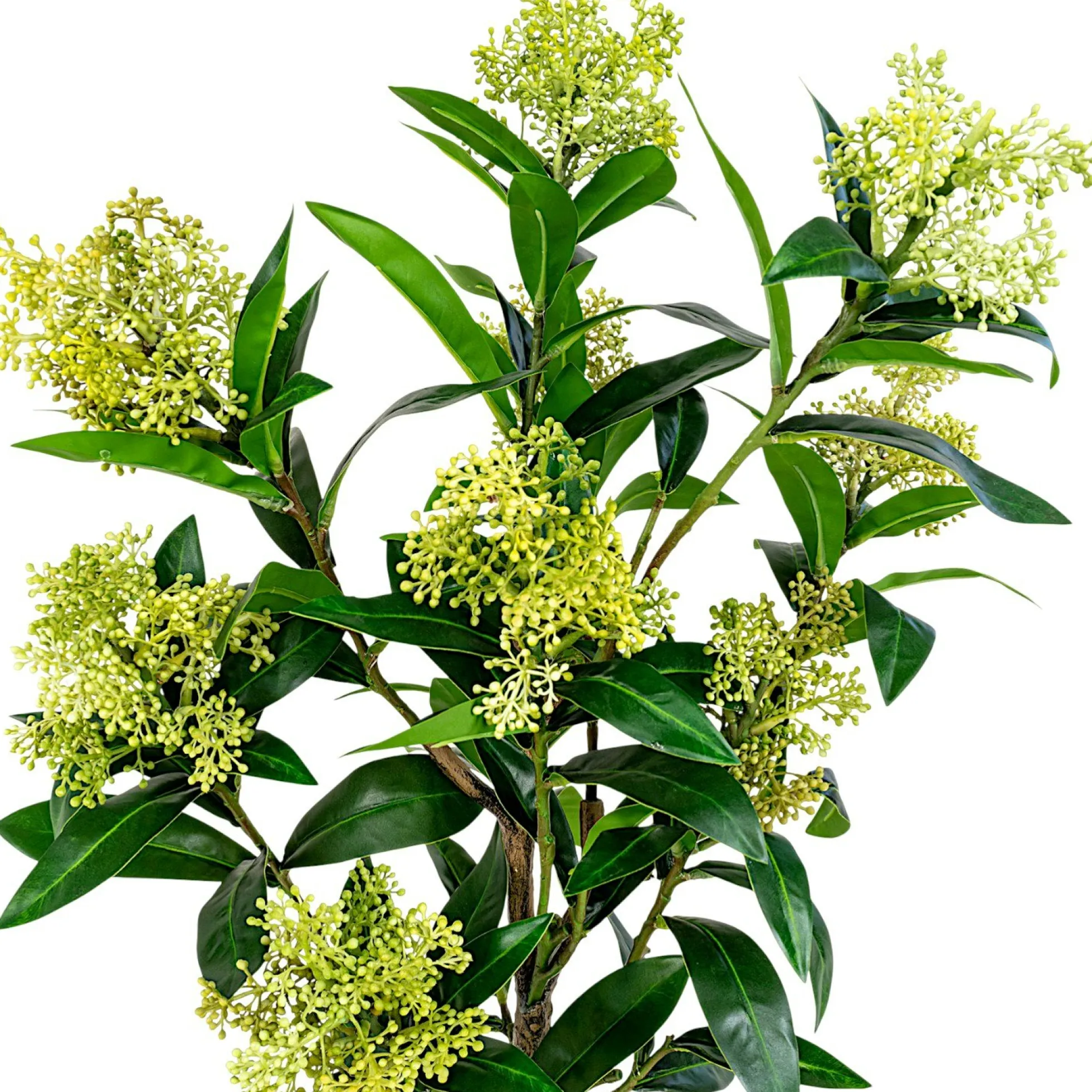 Plante artificielle skimmia en pot H 75 cm