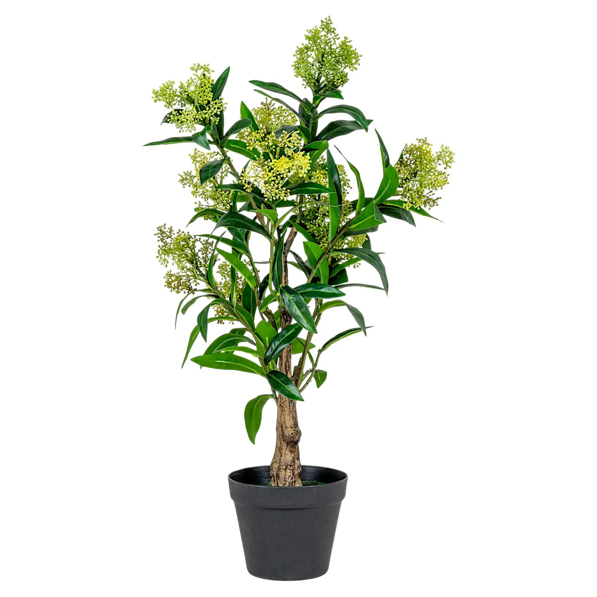 Plante artificielle skimmia en pot H 75 cm