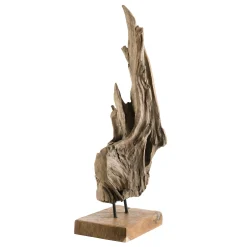 Racine de teck décorative POLO