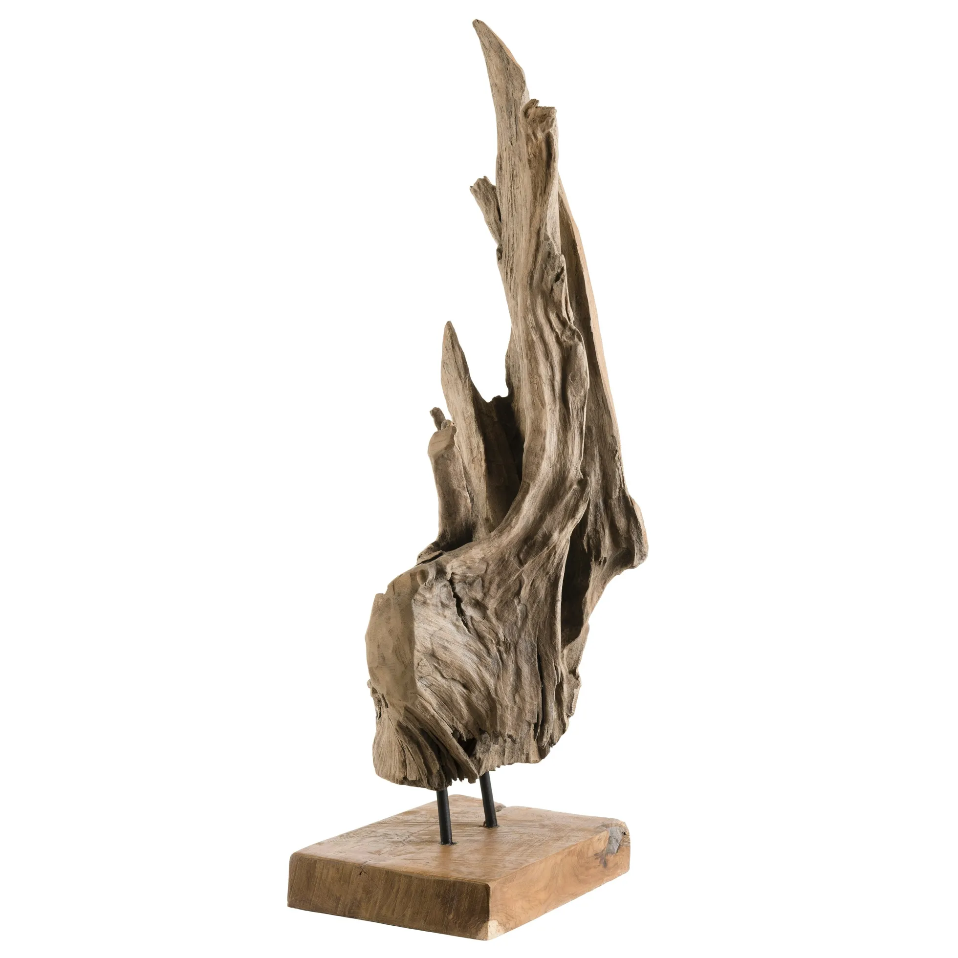 Racine de teck décorative POLO
