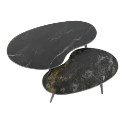 Table basse en céramique forme haricot (lot de 2) GALWAY