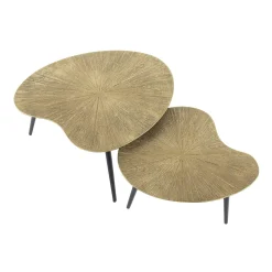 Table basse organique, feuille de ginkgo stylisée (lot de 2) RALF