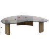 Table basse verre fumé design organique MILOS