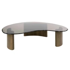 Table basse verre fumé design organique MILOS