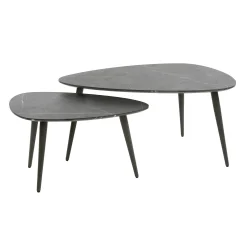 Table de salon organique avec plateau forme poire (lot de 2) RALF