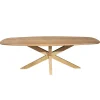 Table à manger ovale organique à pied central 210 cm NERO