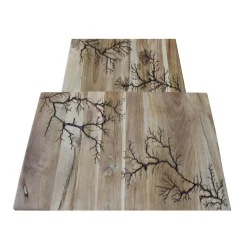 Tables basses gigognes x2 plateau teck arboré