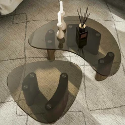 Tables salon verre fumé, design organique (lot de 2) MILOS
